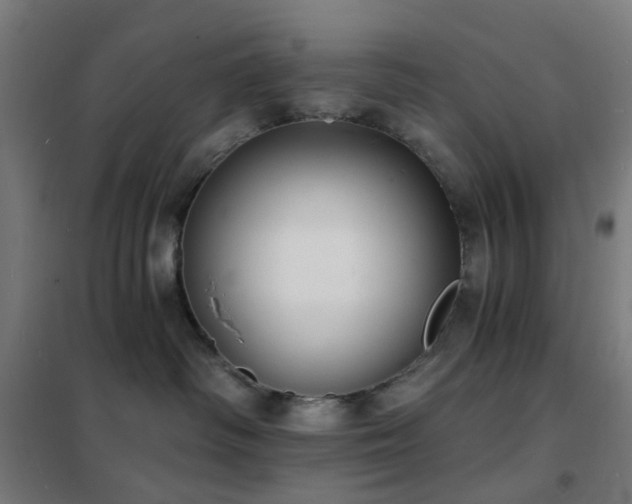 X0000102230334200807251240