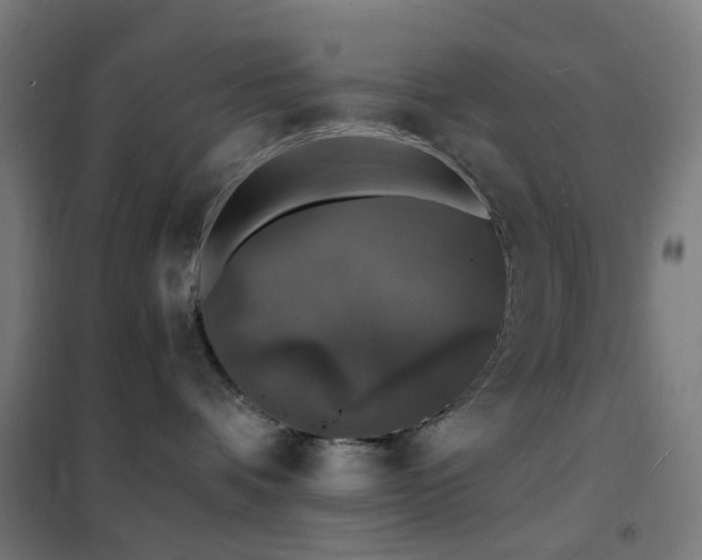 X0000102230336200807251240