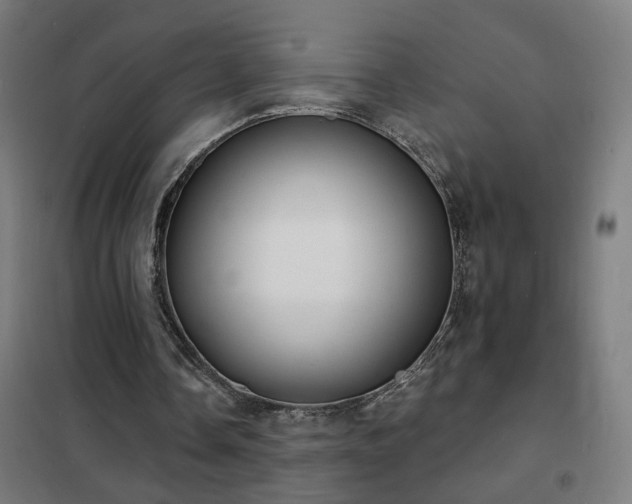 X0000102230338200807251240