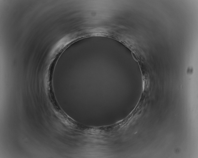 X0000102230339200807251240