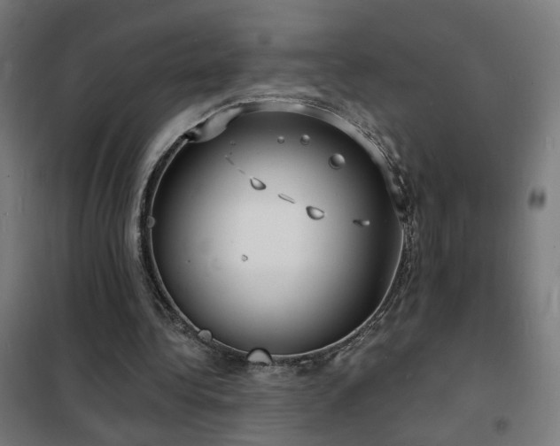 X0000102230340200807251240