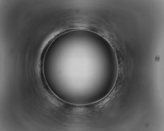 X0000102230342200807251240