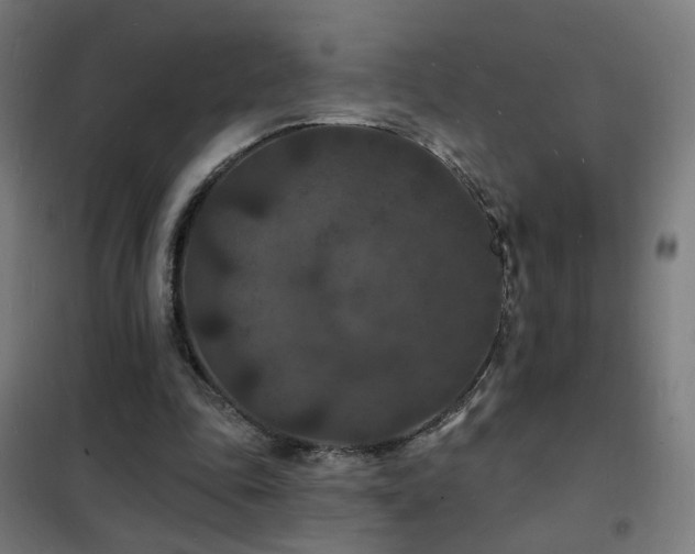 X0000102230343200807251240
