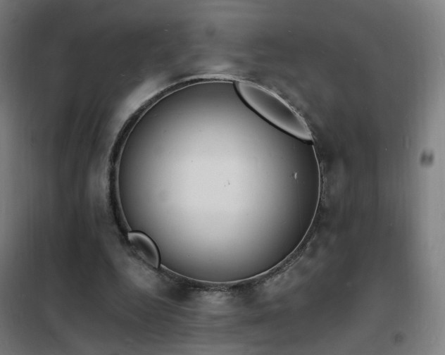 X0000102230344200807251240