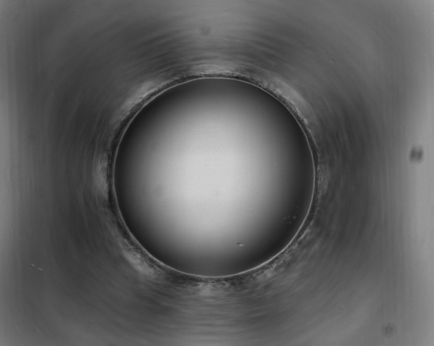 X0000102230345200807251240