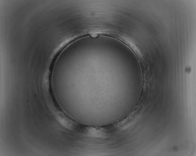 X0000102230346200807251240