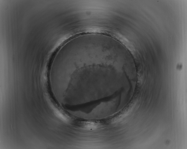 X0000102230347200807251240