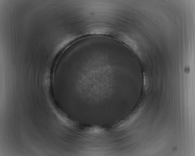 X0000102230348200807251240