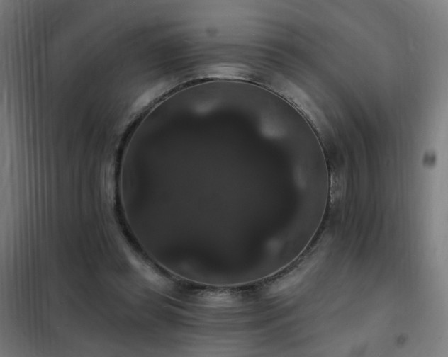 X0000102230349200807251240