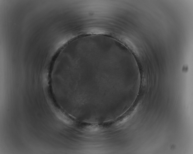 X0000102230351200807251240