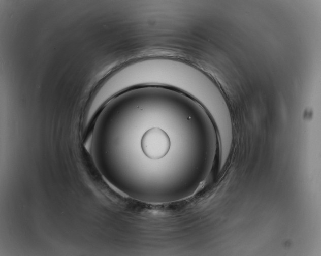 X0000102230352200807251240