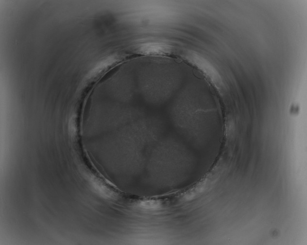 X0000102230353200807251240