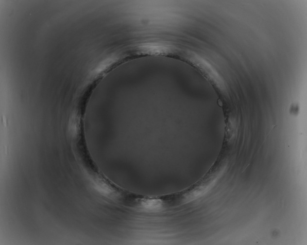 X0000102230355200807251240