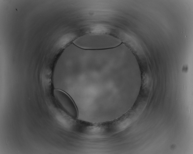 X0000102230356200807251240