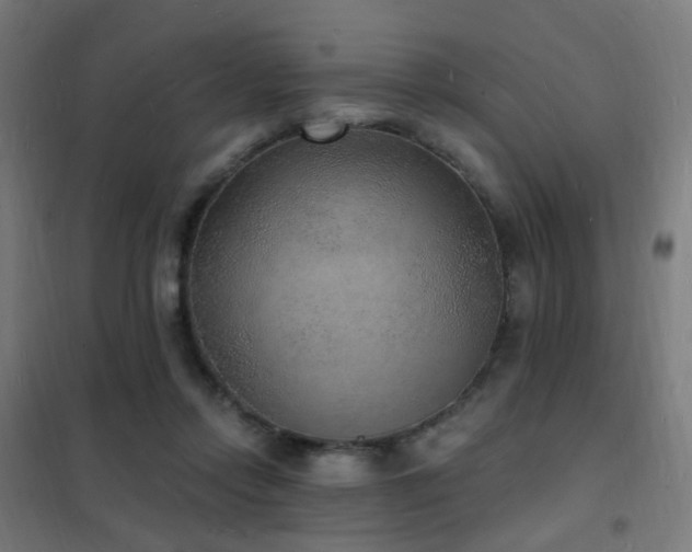 X0000102230358200807251240