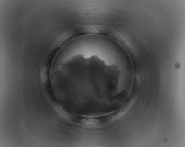 X0000102230359200807251240