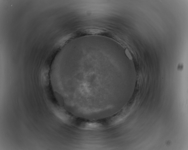 X0000102230360200807251240