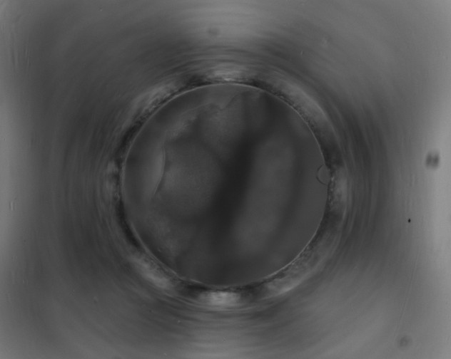 X0000102230361200807251240