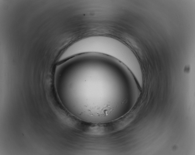 X0000102230362200807251240