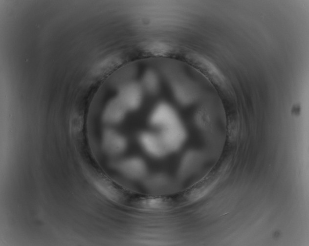 X0000102230365200807251240