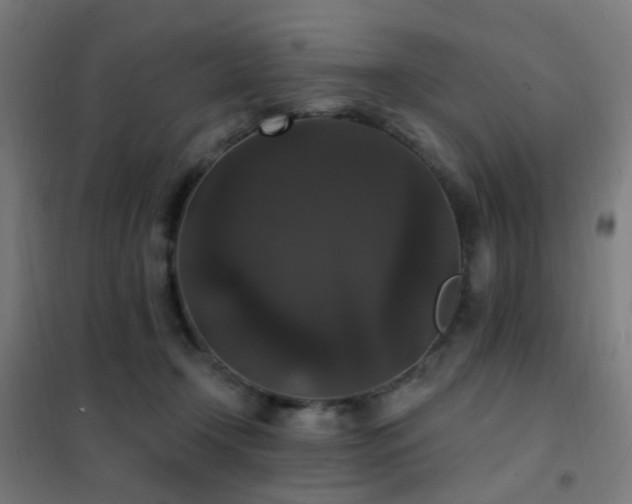 X0000102230366200807251240