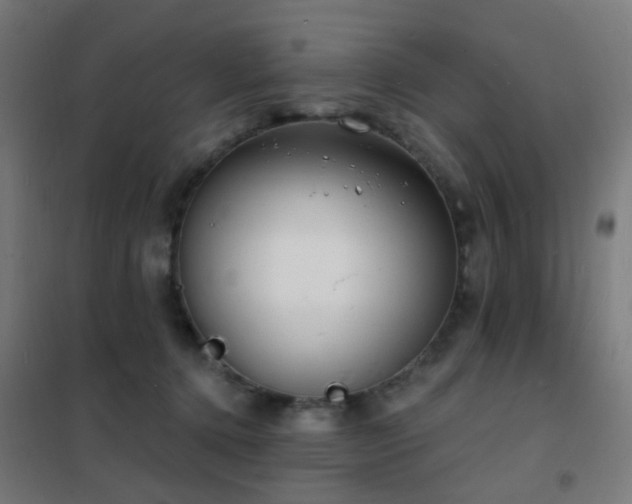 X0000102230368200807251240