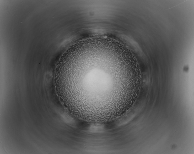 X0000102230369200807251240