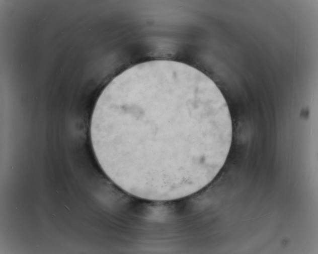 X0000102230370200807251240
