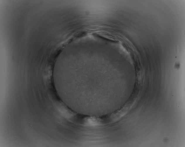 X0000102230372200807251240