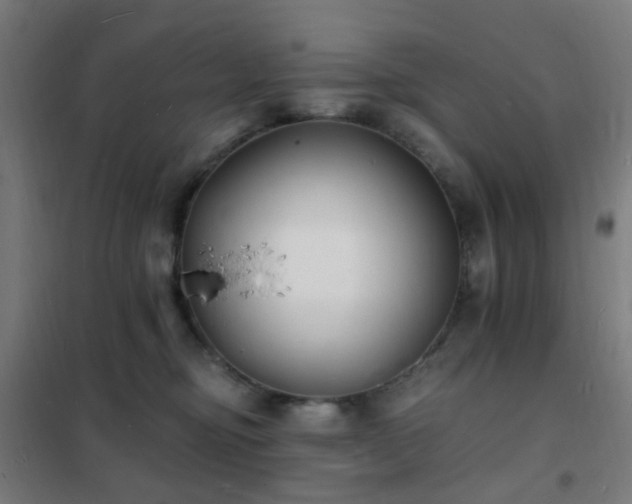 X0000102230374200807251240