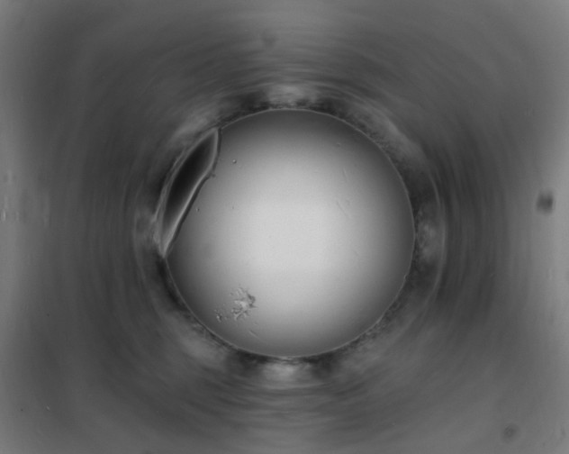 X0000102230375200807251240