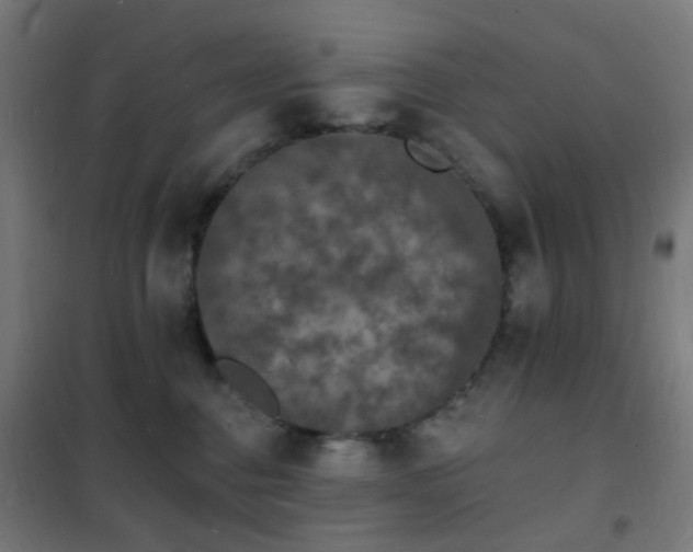 X0000102230376200807251240