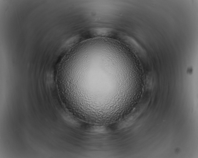 X0000102230377200807251240