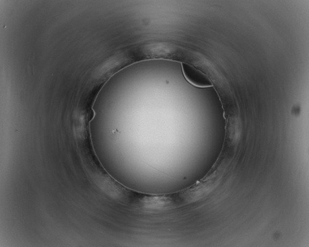 X0000102230378200807251240