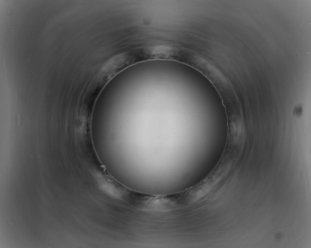 X0000102230379200807251240