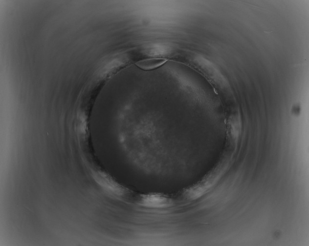 X0000102230380200807251240