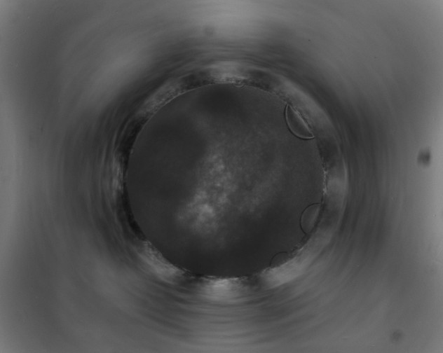 X0000102230382200807251240