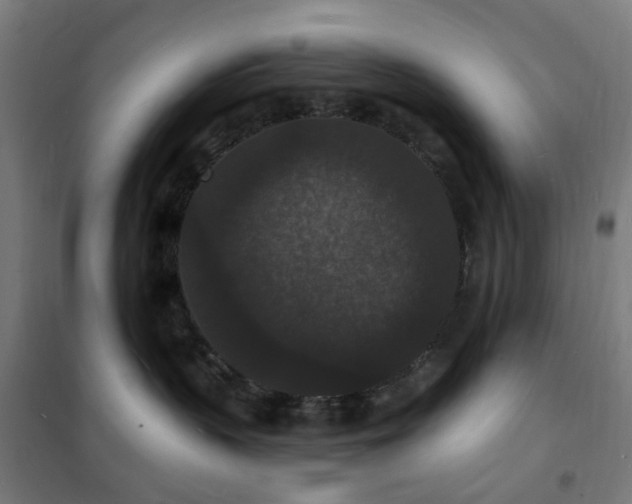 X0000102230383200807251240