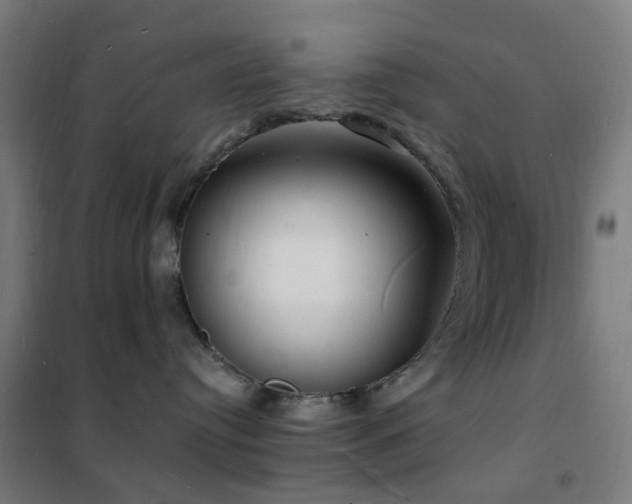 X0000102230384200807251240