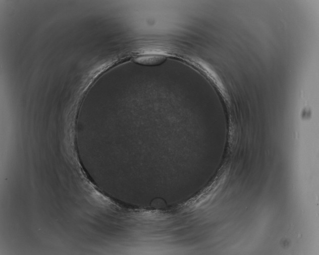 X0000102230385200807251240