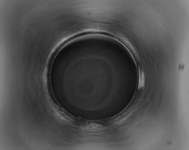 X0000102230387200807251240