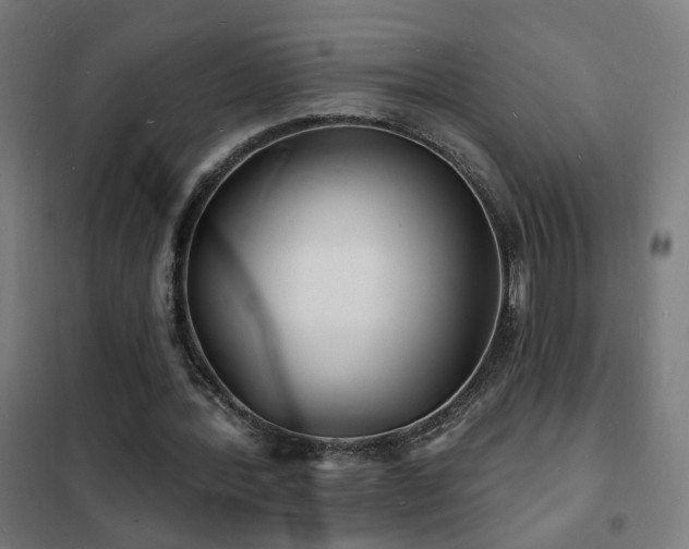 X0000102230388200807251240