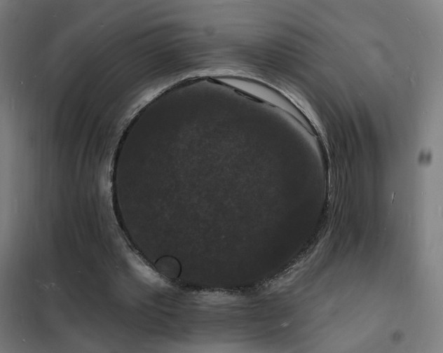 X0000102230389200807251240