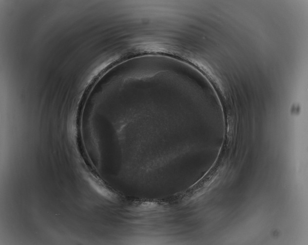 X0000102230390200807251239