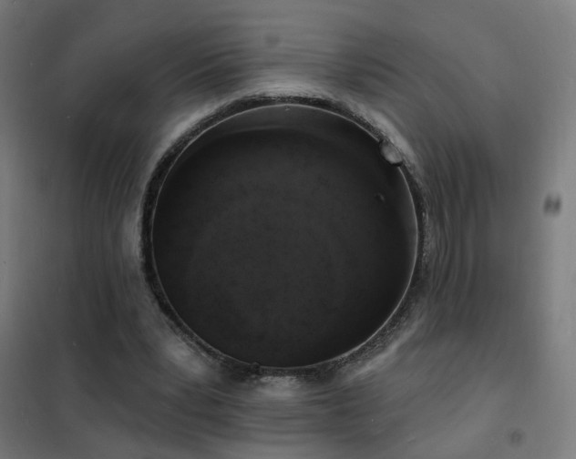 X0000102230391200807251239
