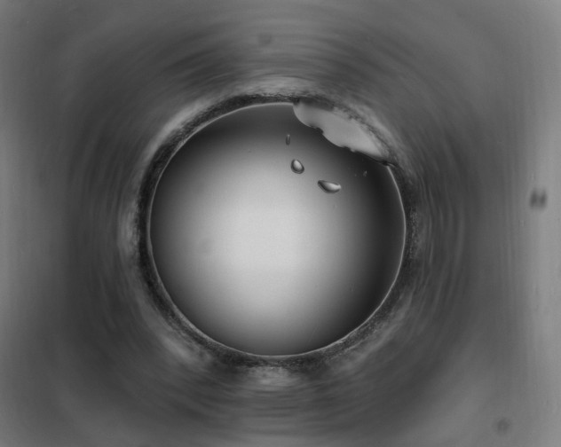 X0000102230392200807251239