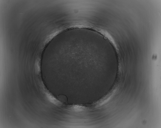 X0000102230393200807251239