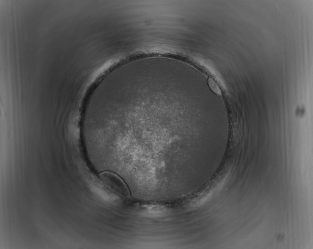 X0000102230395200807251239