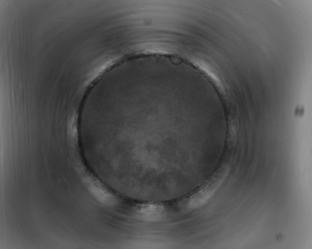 X0000102230398200807251239