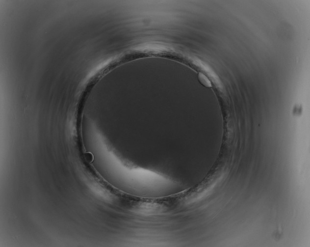 X0000102230399200807251239